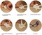 25-piece set of orange fruit-themed photo booth props with sticks—perfect for “Little Cutie” summer selfies, citrus-themed birthday parties, and fun photography backdrop decorations.